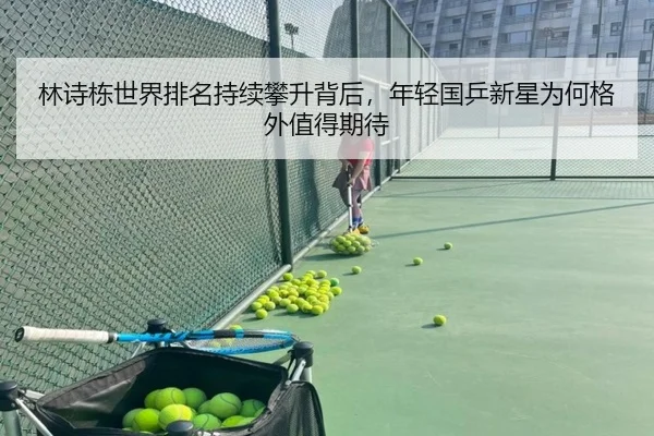 lin-shi-dong-shi-jie-pai-ming-chi-xu-pan-sheng-bei-hou-nian-qing-guo-ping-xin-xing-wei-he-ge-wai-zhi-de-qi-dai-2-384.jpg