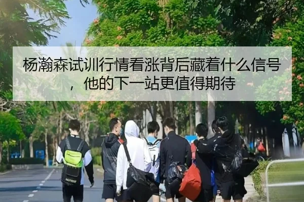 杨瀚森试训行情看涨背后藏着什么信号，他的下一站更值得期待 - dbdianzi